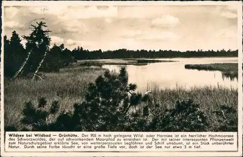 Ansichtskarte Bad Wildbad Partie am Wildsee - Grünhütte 1939 