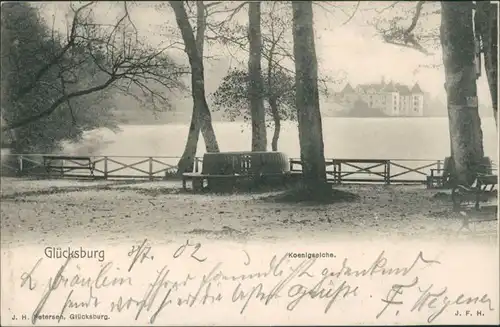 Glücksburg (Ostsee) Lyksborg Königseiche - Blick zum Schloss 1902 