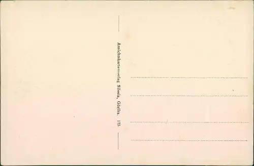 Ansichtskarte Hain-Oybin Johannissteinbaude 1914 