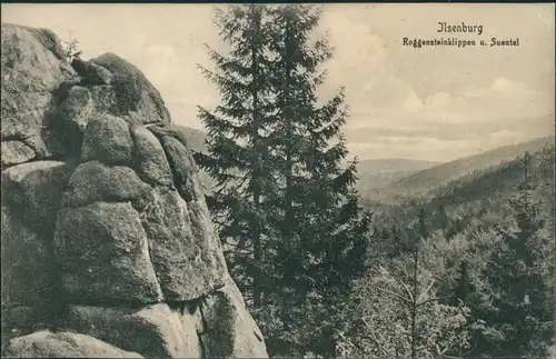 Ansichtskarte Ilsenburg (Harz) Roggensteinklippen u. Suental 1914 