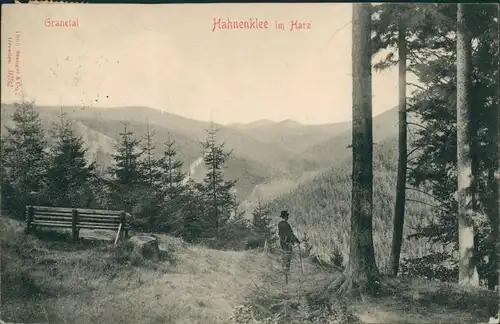 Ansichtskarte Hahnenklee-Bockswiese-Goslar Partie im Granetal 1912 