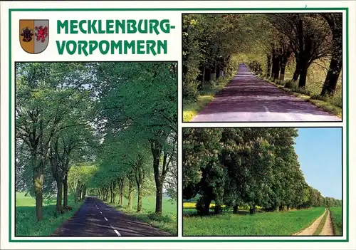 Ansichtskarte Mecklenburg Vorpommern Mecklenburg Vorpommern-Alleen c1995