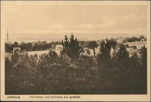 Ansichtskarte Jesteburg Panorama vom Kornberg 1922 
