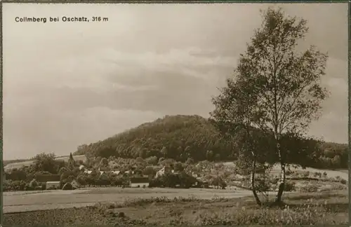 Ansichtskarte Collm-Wermsdorf Collmberg 1928 