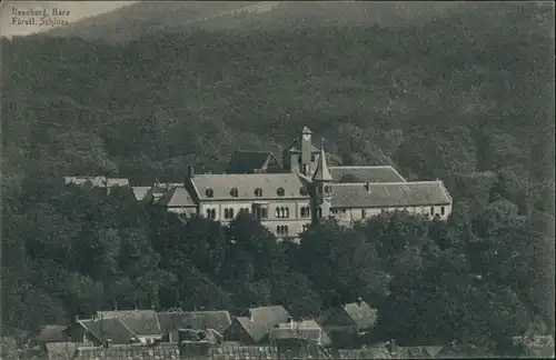 Ansichtskarte Ilsenburg (Harz) Stadt und Schloss 1914 
