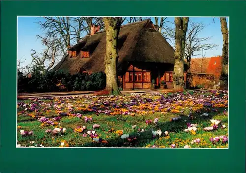 Mecklenburg-Vorpommern Frühlingswiese vor tradtionellen Haus Schilfdach 1995