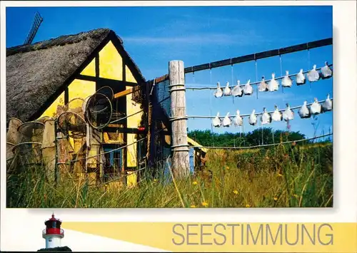 Mecklenburg-Vorpommern Seestimmung, Fischerreuse am Zaun vor Haus 1995