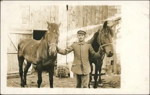 Ansichtskarte  Pferde, Soldaten - Gestütt 1918 