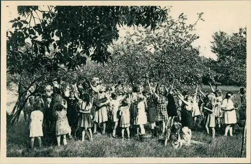 Postkaart Ravels Kinder bei der Ernte - Open Lucht School 1932