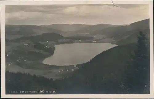 Ansichtskarte Titisee-Neustadt Titisee (Schwarzwald) 860m ü. M. 1915