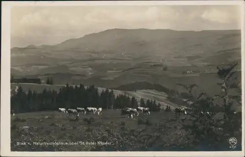 St. Peter (Hochschwarzwald)  Blick v. Naturfreundehaus   St. Peter-Kandel 1935