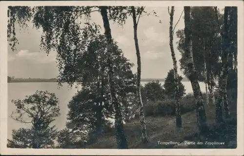 Tempelburg (Pommern) Czaplinek Birken am Zepplinsee Jezioro Czaplino 1930