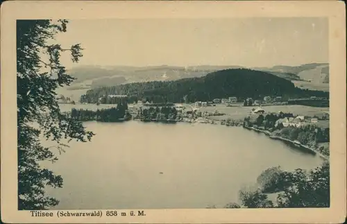 Ansichtskarte Titisee-Neustadt Titisee (Schwarzwald) 858 m ü.M.Panorama 1922