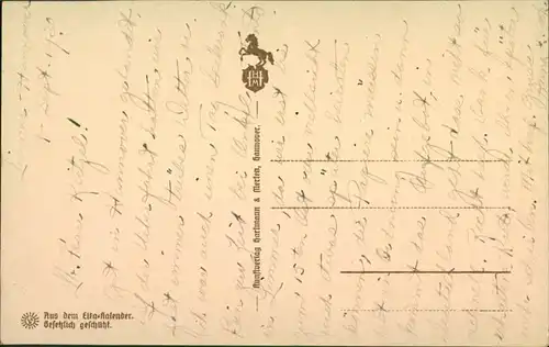 Ansichtskarte Hannover Alte Häuser an der Leine - Steindruck 1913