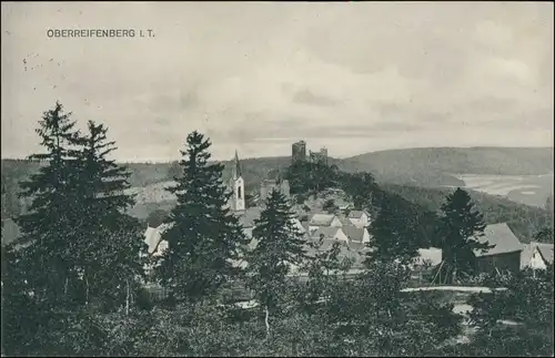 Ansichtskarte Schmitten-Oberreifenberg Blick auf den Ort 1915