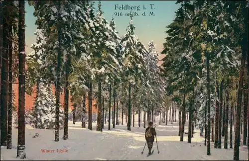 Ansichtskarte Feldberg (Schwarzwald) Winter-Idylle - Skifahrer im Wald 1914