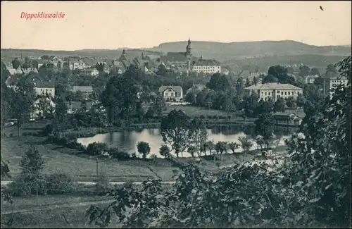 Ansichtskarte Dippoldiswalde Blick auf die Stadt 1913 