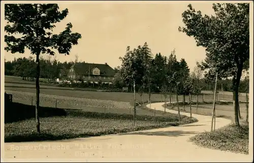 Ansichtskarte Frauenstein (Erzgebirge) Altes Forsthaus 1929 