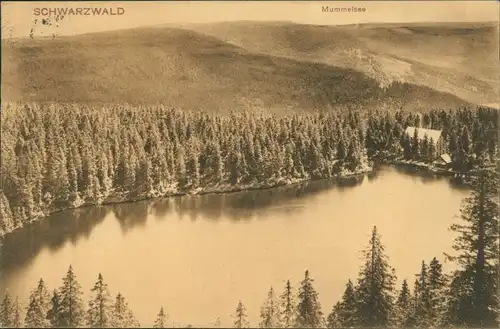 Ansichtskarte Achern Mummelsee, Schwarzwald 1908