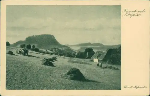 Königstein (Sächsische Schweiz) Heuernte, Bauern und Pferdekarren 1928