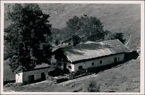 Ansichtskarte  Bauernhof, Baude mit Bäumen am Hang 1924