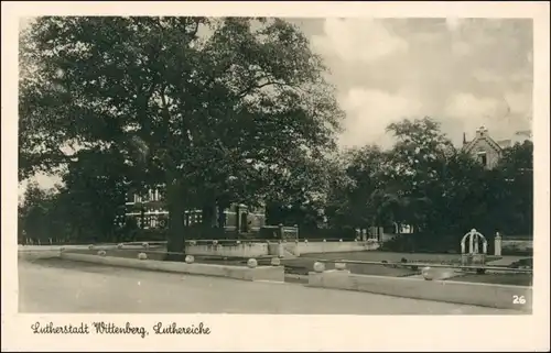 Ansichtskarte Lutherstadt Wittenberg Straßenpartie an der Luthereiche 1932 