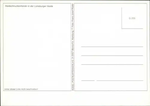 Ansichtskarte .Niedersachsen Heidschnuckenherde in der Lüneburger Heide 1990