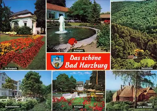 Ansichtskarte Bad Harzburg Kurpark Anlagen, Sennhütte, Cafe Winuwuk 1991
