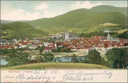 Ansichtskarte Eberbach Blick auf die Stadt 1905