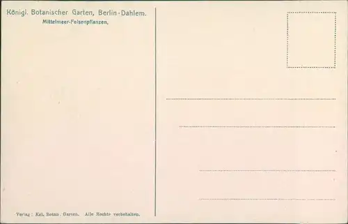 Ansichtskarte Dahlem-Berlin Kgl. Botanischer Garten - Felsenpfalanzen 1913 