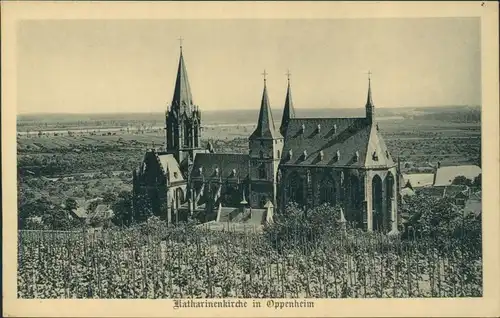 Ansichtskarte Oppenheim Katharinenkirche - Weinreben 1916 