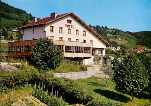 CPA Gerdsee Gérardmer Hotel les Tilleuls 1979