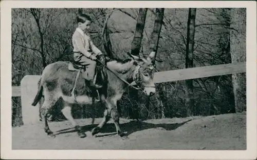 Ansichtskarte Eisenach Eselreiter zur Wartburg 1952