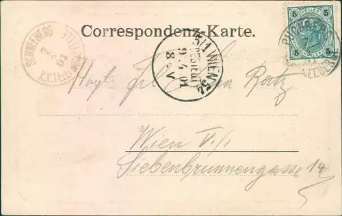 Ansichtskarte Reichenau an der Rax Baumgartner Haus 1901