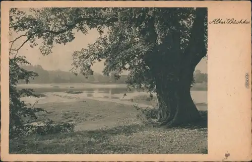 Ansichtskarte Montabaur Alter Wächter 1942 