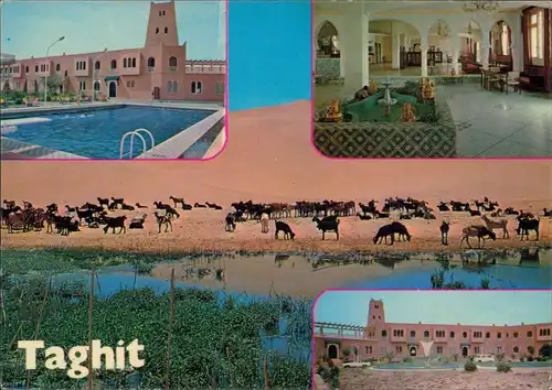 Ansichtskarte Taghit Hotel, Oase 1965