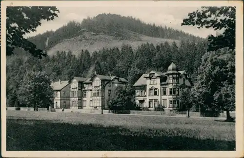Ansichtskarte Tabarz/Thüringer Wald Lauchagrundstraße 1955