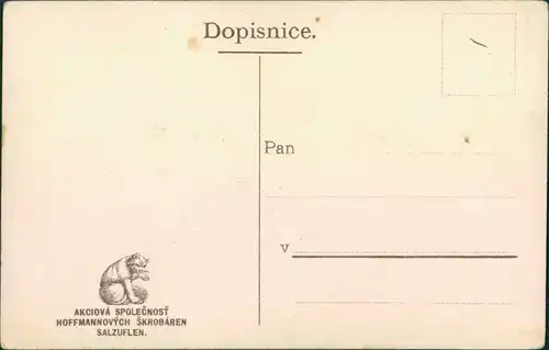 Ansichtskarte  Srdecne Blahoprani - Neujahr 1908 