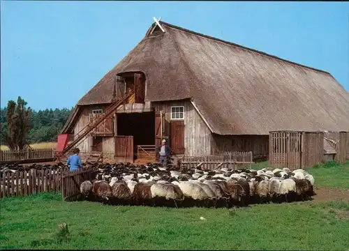 Ansichtskarte .Niedersachsen Lüneburger Heide - Bauerngehöft 1995