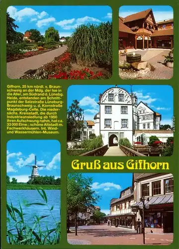 Ansichtskarte Gifhorn Parkanlage, Fachwerkhaus, Windmühle, Altstadt 1996