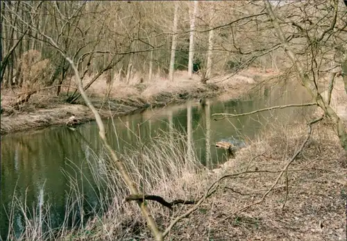 Foto Bad Bevensen Parite am Bach 1996 Privatfoto 