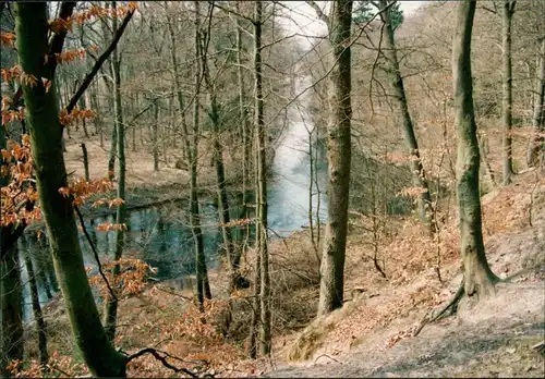 Foto Bad Bevensen Im Wald am Fluss 1996 Privatfoto 