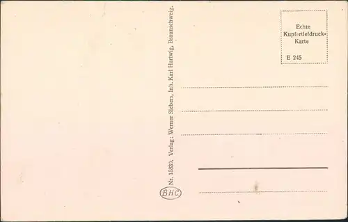 Ansichtskarte Braunschweig Burg Dankwardsrode 1928