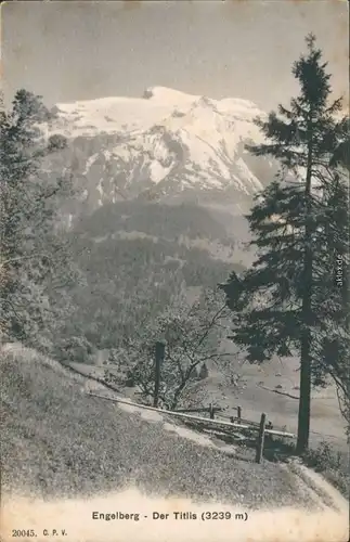 Ansichtskarte Engelberg OW Der Titlis - Bergweg 1909 