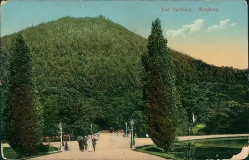 Ansichtskarte Bad Harzburg Straßenpartie Burgberg 1913 