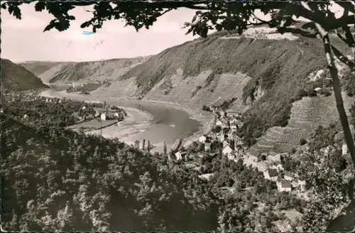 Ansichtskarte Brodenbach Panorama 1961 