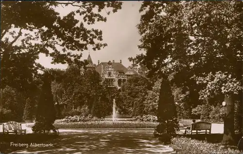 Ansichtskarte Freiberg (Sachsen) Haus im Albertpark 1928 