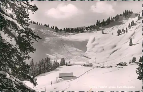 Ansichtskarte Schliersee Untere Firstalm gegen Stüpflingensattel 1966 