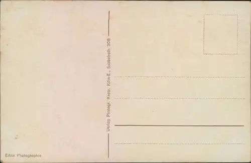 Ansichtskarte Rüdesheim (Rhein) Stadt mit Nationaldenkmal 1929 