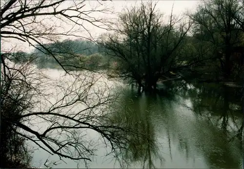 Foto Gartow Bäume im Wasser 1996 Privatfoto 
